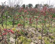 浦东新今天天气