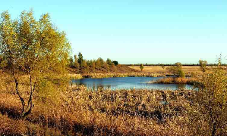 台安天气预报60天