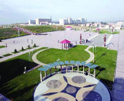 康保天气预报60天