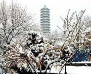 苍山天气预报60天