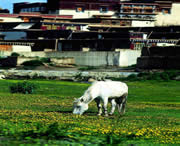 山南天气预报15天