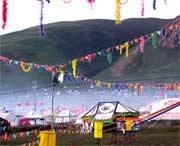 曲麻莱今天天气