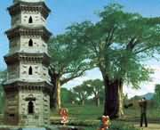 太康天气预报60天