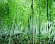 宜兴天气预报60天