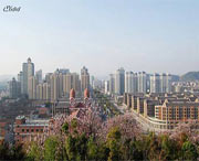 慈溪天气预报60天