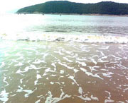 象山天气预报60天