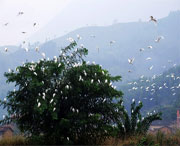 龙泉天气预报40天