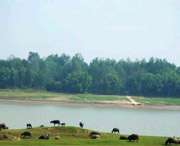 枞阳天气预报60天