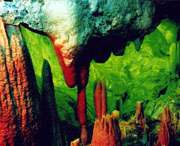 无为天气预报60天