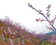 建宁天气预报60天