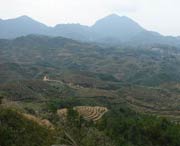 大田天气预报60天