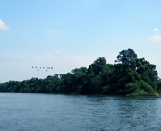 衡南天气预报15天