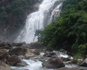 丰顺天气预报60天